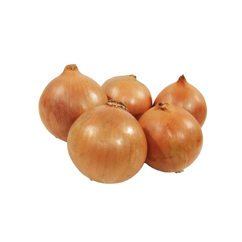 CEBOLLA xkg