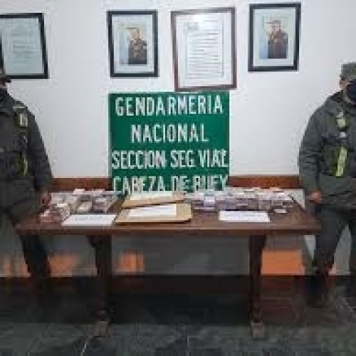 CIRCULABA CON MÁS DE 2 MILLONES DE PESOS EN CAJAS DE CARTON