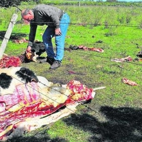 LA INSEGURIDAD DEL CAMPO ES EN TODO EL PAÍS