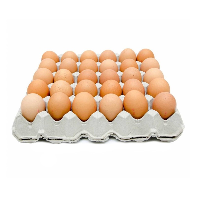 MAPLE DE HUEVOS