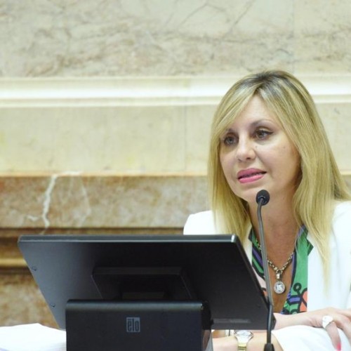 SACNUN PIDIO REDUCIR EN UN 30 % TARIFAS DE LUZ PARA LOS PEQUEÑOS COMERCIOS