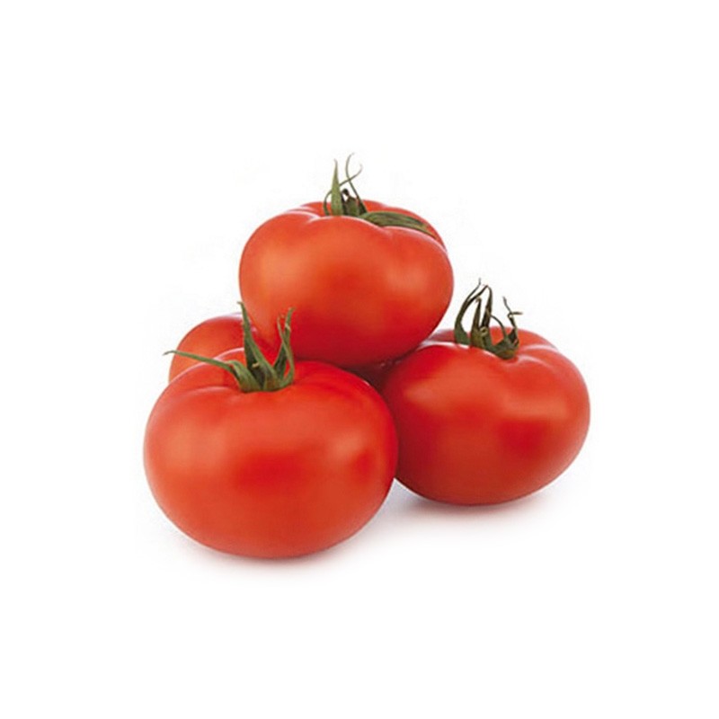 TOMATE REDONDOxkg