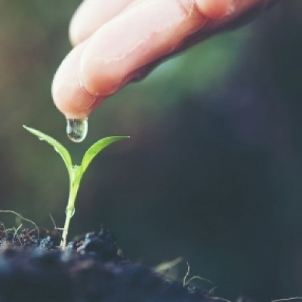 agua-util-del-suelo-para-cultivos-por-que-es-importante-conocerla