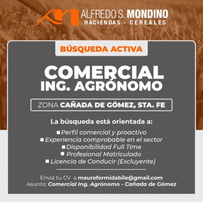 Búsqueda Laboral