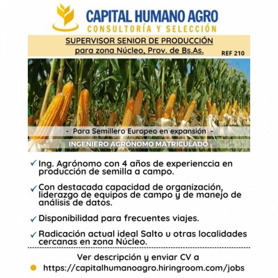 Búsqueda Laboral