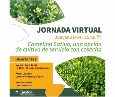 Jornada Virtual