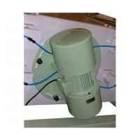 MOTOVIBRADORES - MTV