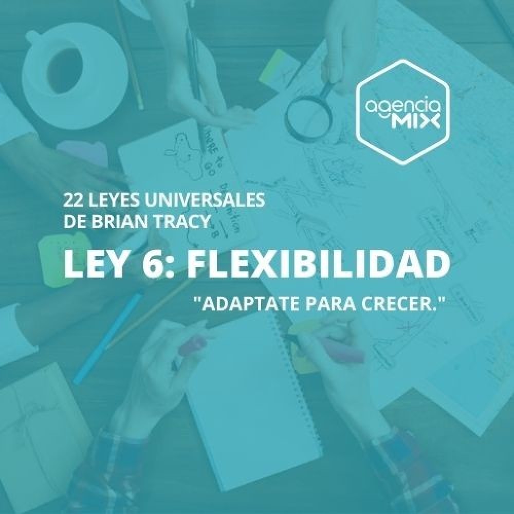 6. Adaptate para crecer: La Ley de la Flexibilidad en marketing