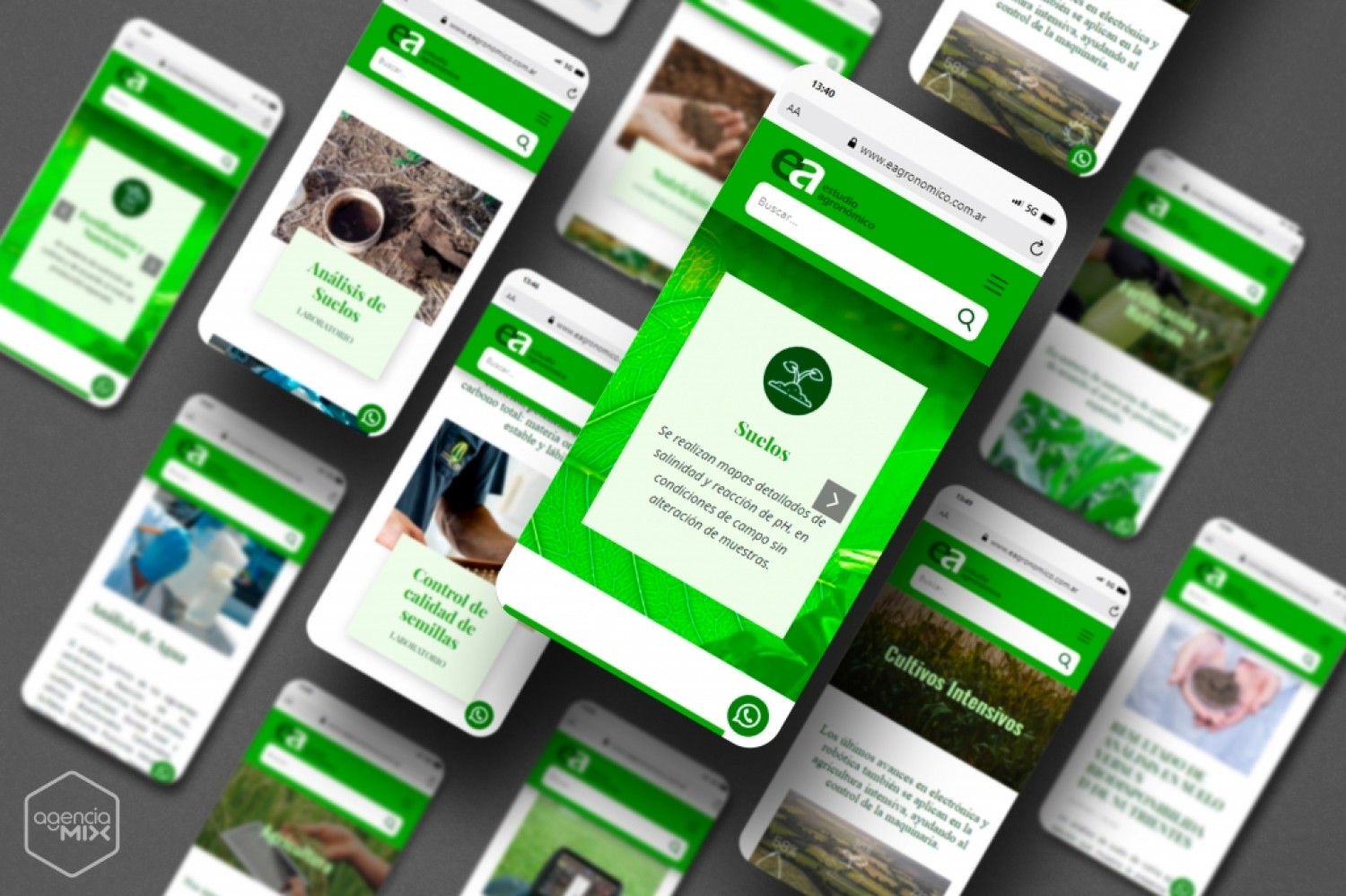 diseno-web-responsivo-eagronomico