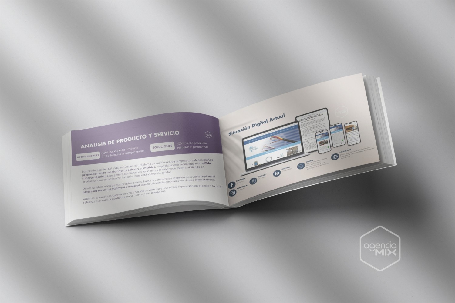 h-y-f-vidal-plan-de-marketing-para-empresa-de-control-de-temperatura-en-almacenaje