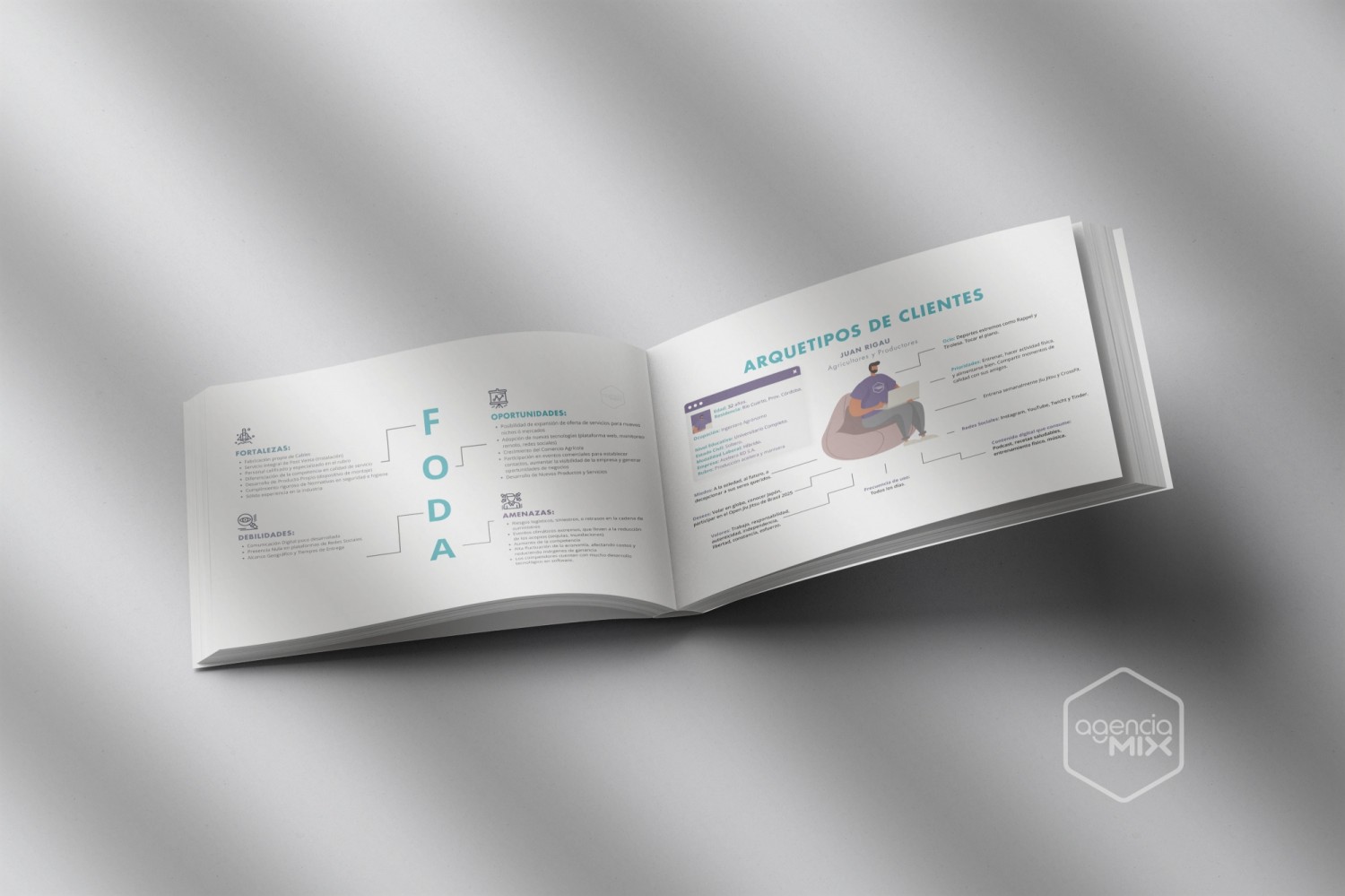 h-y-f-vidal-plan-de-marketing-para-empresa-de-control-de-temperatura-en-almacenaje