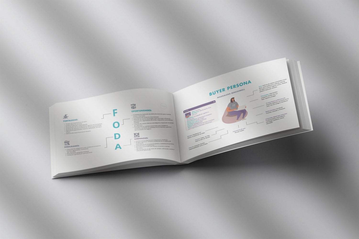 siad-plan-de-marketing-para-servicios-de-gestion-en-aduana