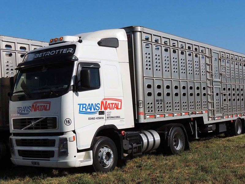 Transporte de ganado vacuno, TRANSNATALI SRL, venado tuerto 